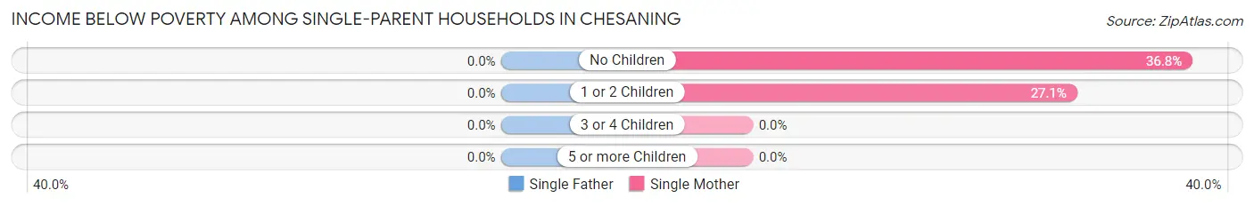 Income Below Poverty Among Single-Parent Households in Chesaning