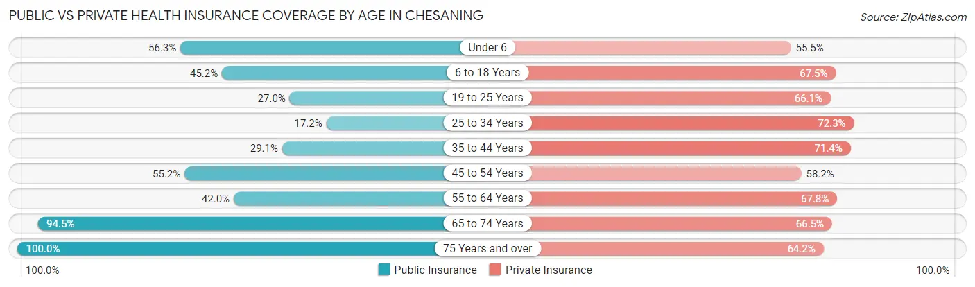 Public vs Private Health Insurance Coverage by Age in Chesaning