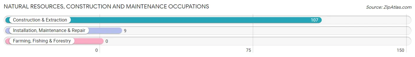 Natural Resources, Construction and Maintenance Occupations in Clare