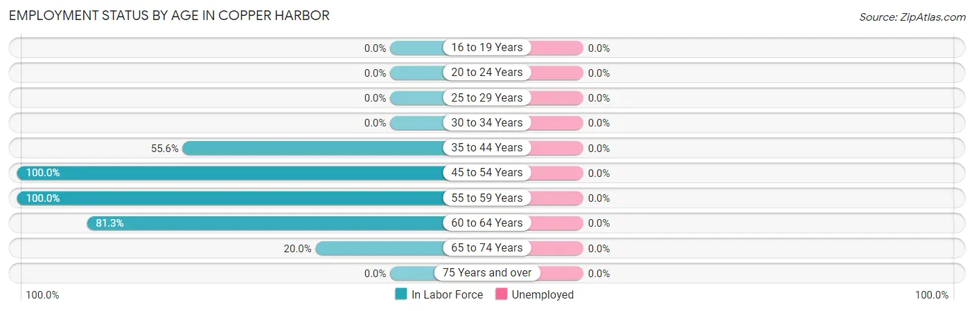 Employment Status by Age in Copper Harbor