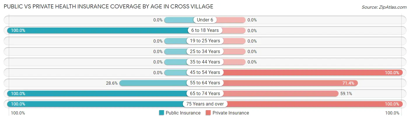 Public vs Private Health Insurance Coverage by Age in Cross Village