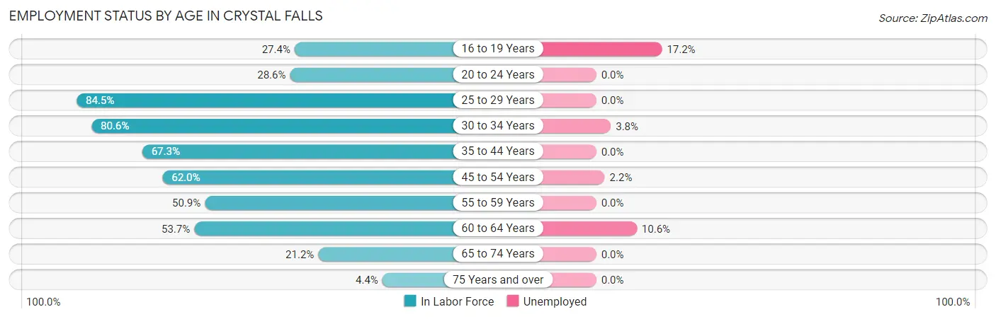 Employment Status by Age in Crystal Falls