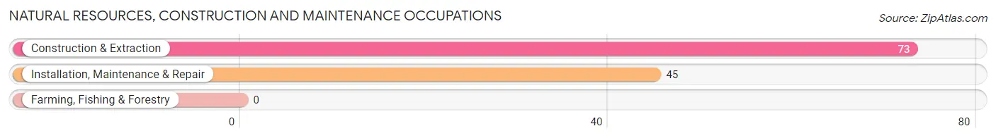 Natural Resources, Construction and Maintenance Occupations in Davison