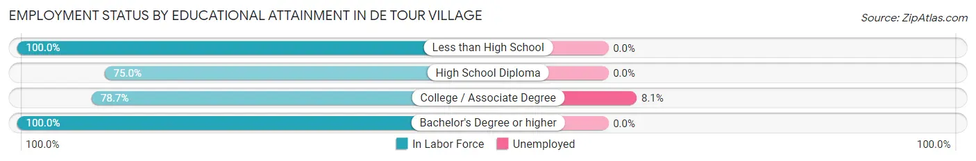 Employment Status by Educational Attainment in De Tour Village