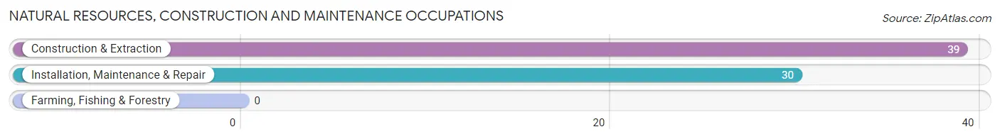 Natural Resources, Construction and Maintenance Occupations in Deerfield