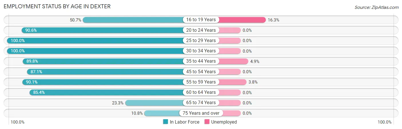 Employment Status by Age in Dexter