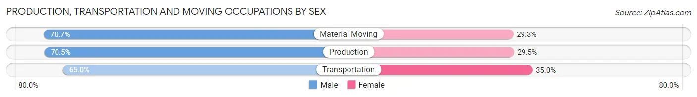 Production, Transportation and Moving Occupations by Sex in Dorr