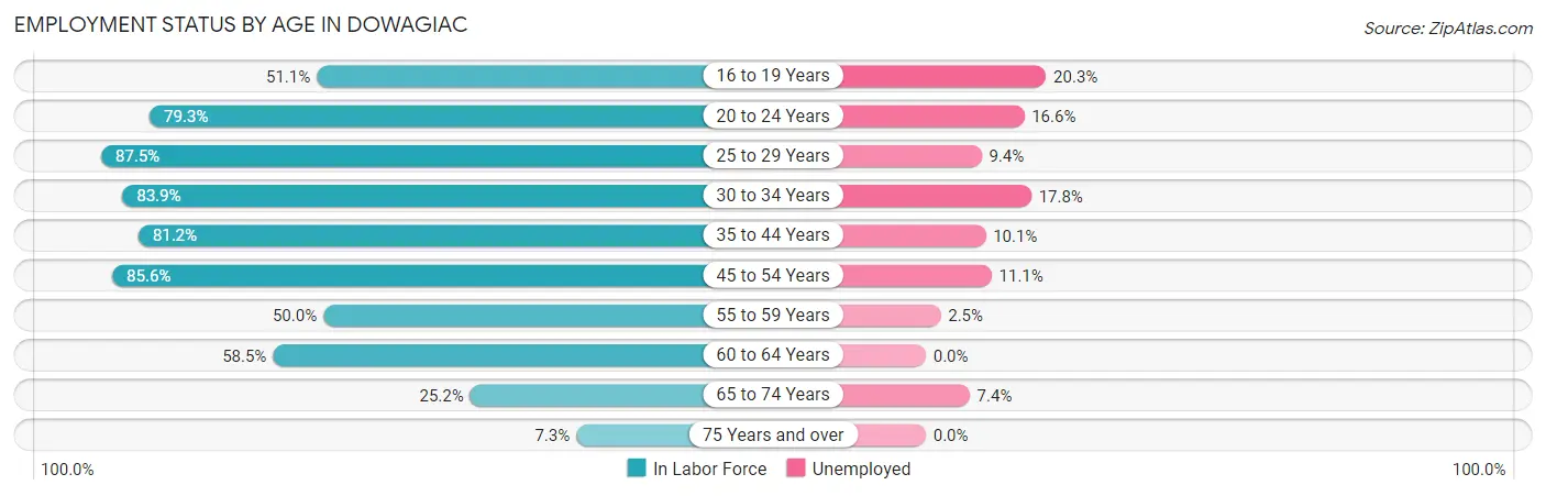 Employment Status by Age in Dowagiac