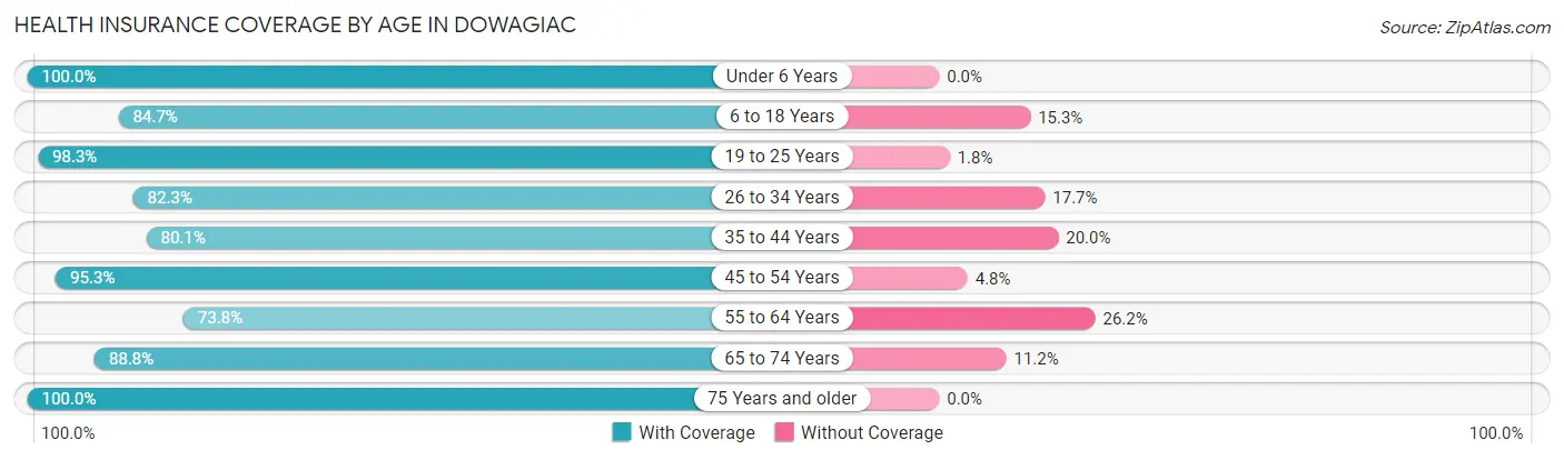 Health Insurance Coverage by Age in Dowagiac