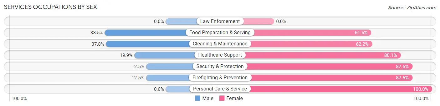 Services Occupations by Sex in Dowagiac