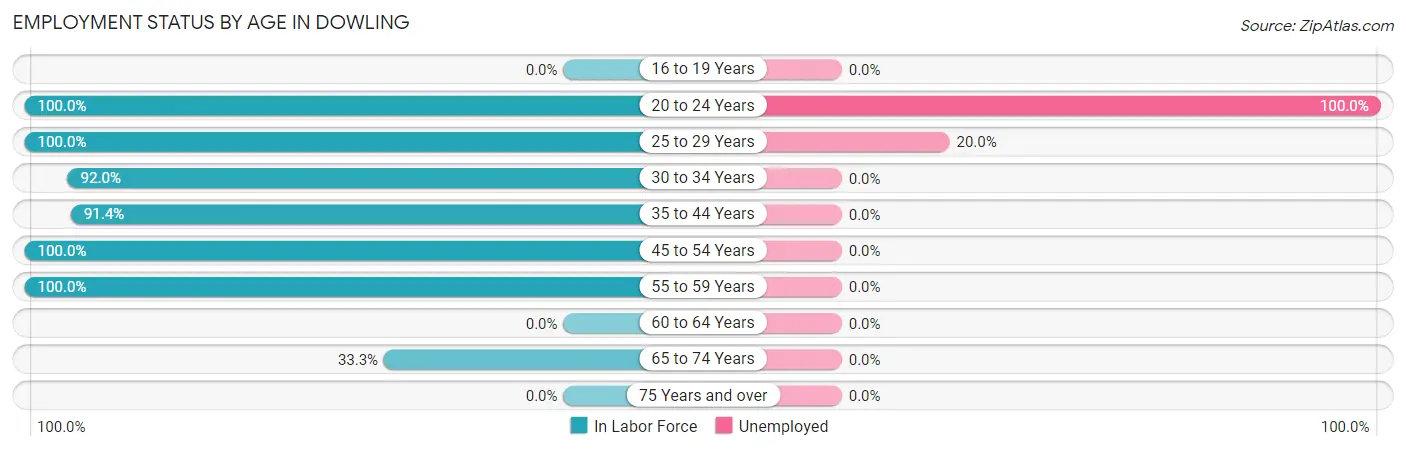 Employment Status by Age in Dowling