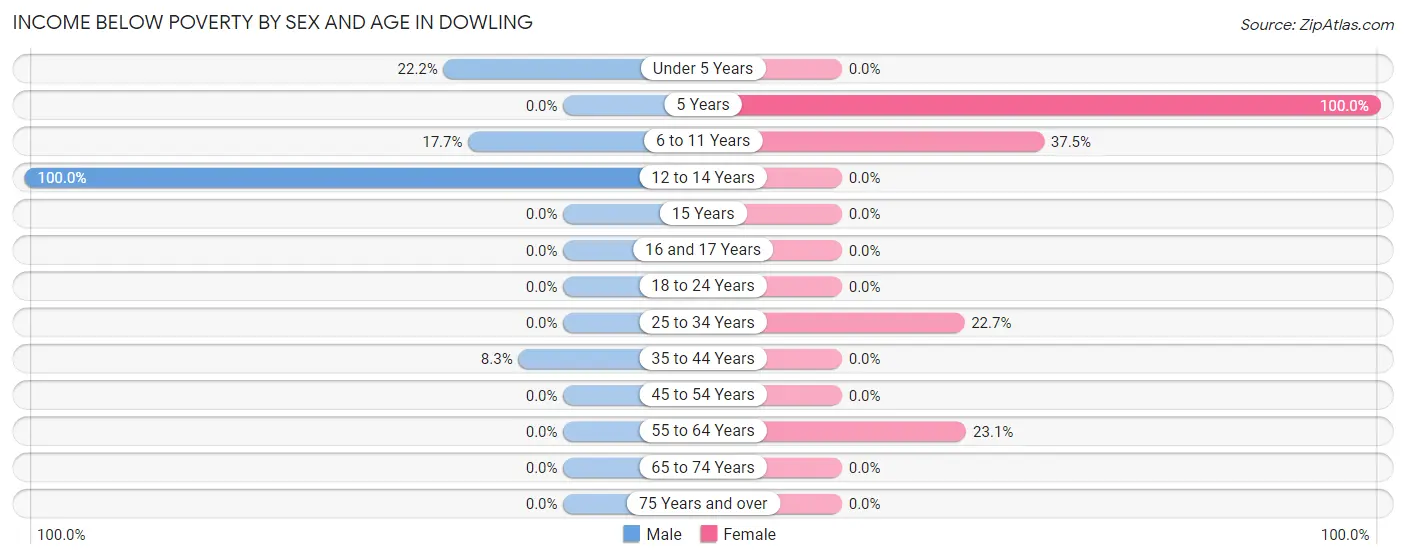 Income Below Poverty by Sex and Age in Dowling