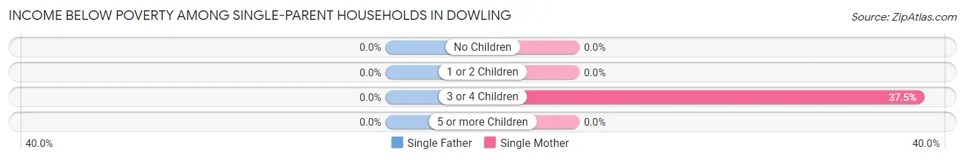 Income Below Poverty Among Single-Parent Households in Dowling