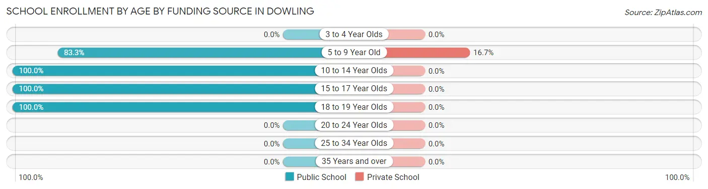 School Enrollment by Age by Funding Source in Dowling