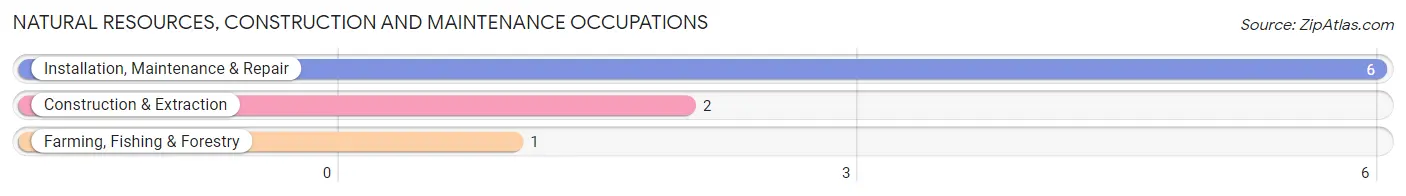 Natural Resources, Construction and Maintenance Occupations in Eagle