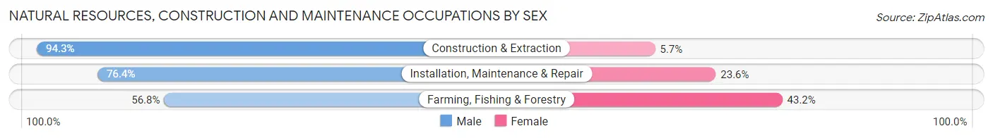 Natural Resources, Construction and Maintenance Occupations by Sex in East Lansing