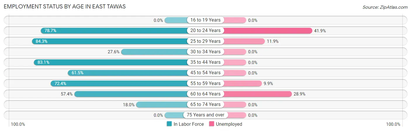 Employment Status by Age in East Tawas