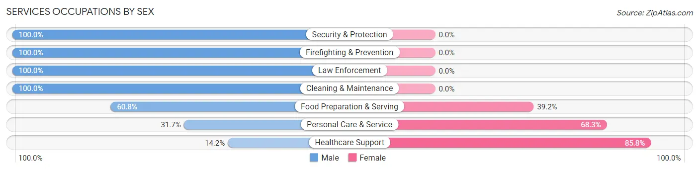 Services Occupations by Sex in Eaton Rapids