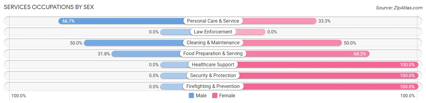Services Occupations by Sex in Ellsworth