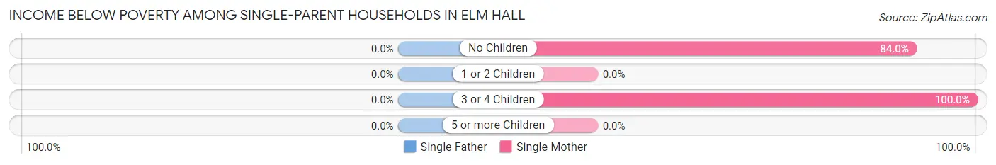 Income Below Poverty Among Single-Parent Households in Elm Hall