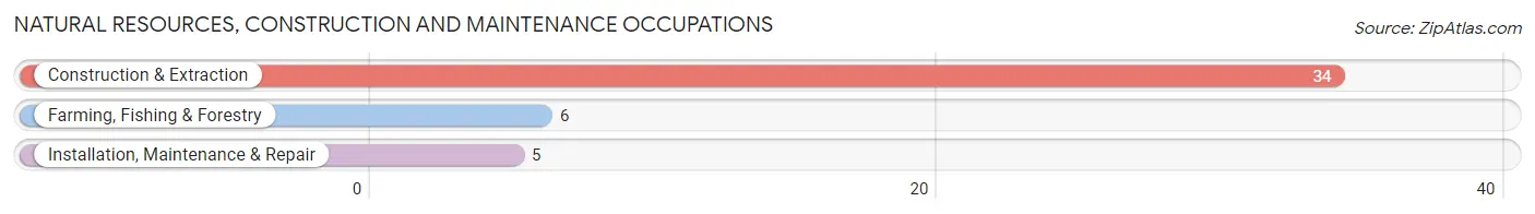 Natural Resources, Construction and Maintenance Occupations in Elsie