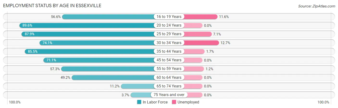 Employment Status by Age in Essexville