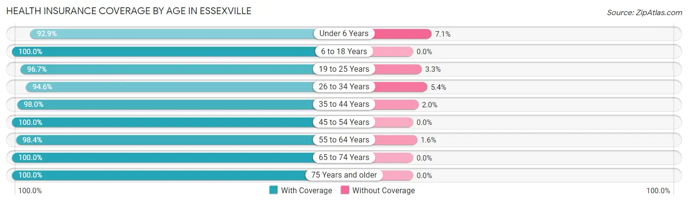 Health Insurance Coverage by Age in Essexville