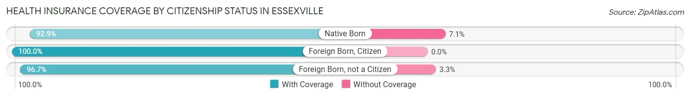 Health Insurance Coverage by Citizenship Status in Essexville