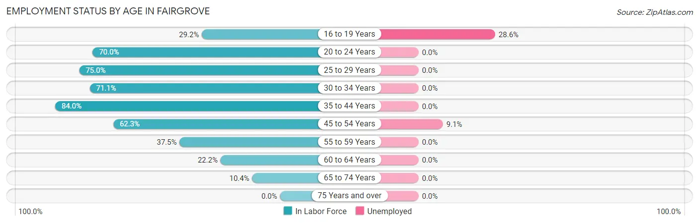 Employment Status by Age in Fairgrove