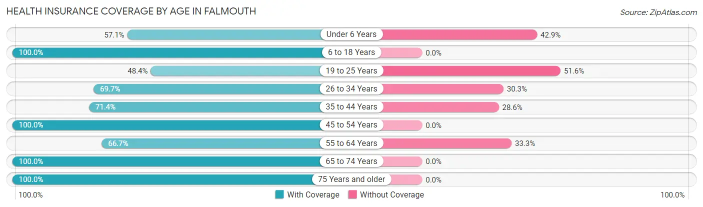 Health Insurance Coverage by Age in Falmouth