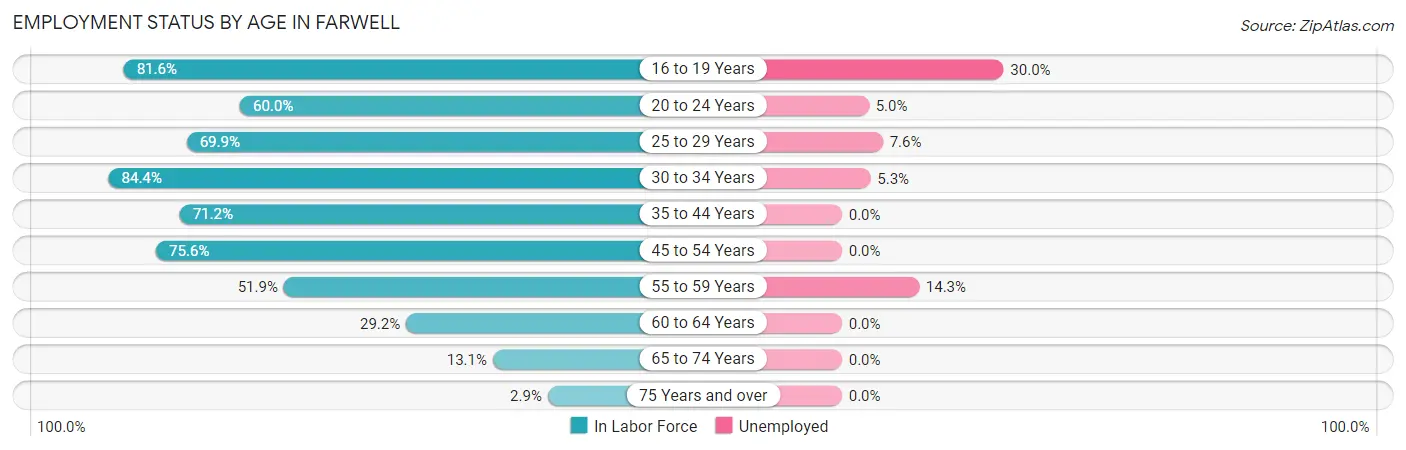 Employment Status by Age in Farwell
