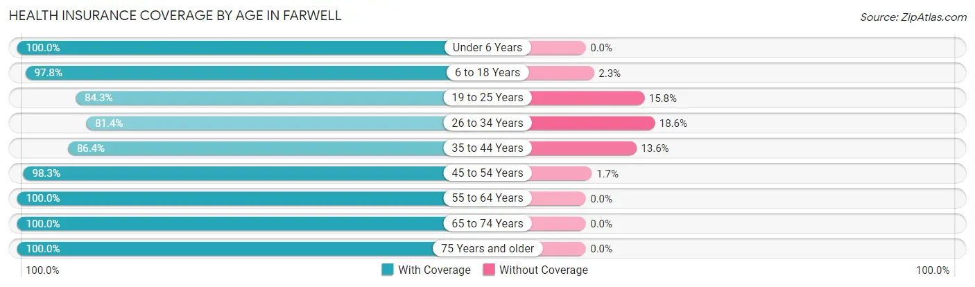 Health Insurance Coverage by Age in Farwell