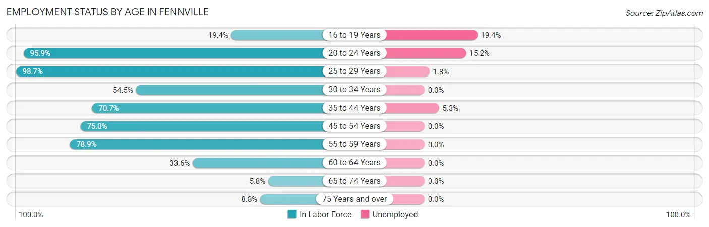 Employment Status by Age in Fennville