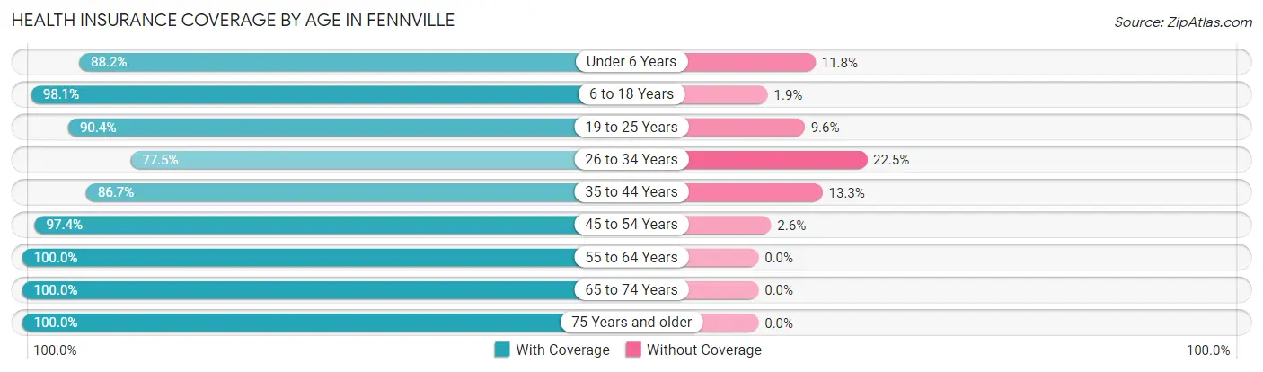 Health Insurance Coverage by Age in Fennville