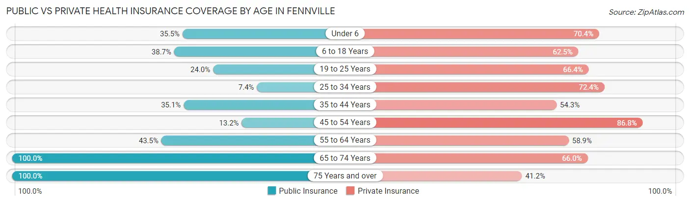 Public vs Private Health Insurance Coverage by Age in Fennville
