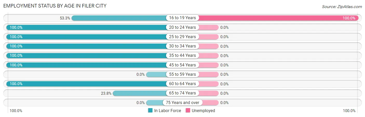 Employment Status by Age in Filer City