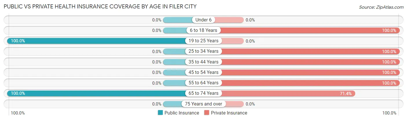 Public vs Private Health Insurance Coverage by Age in Filer City