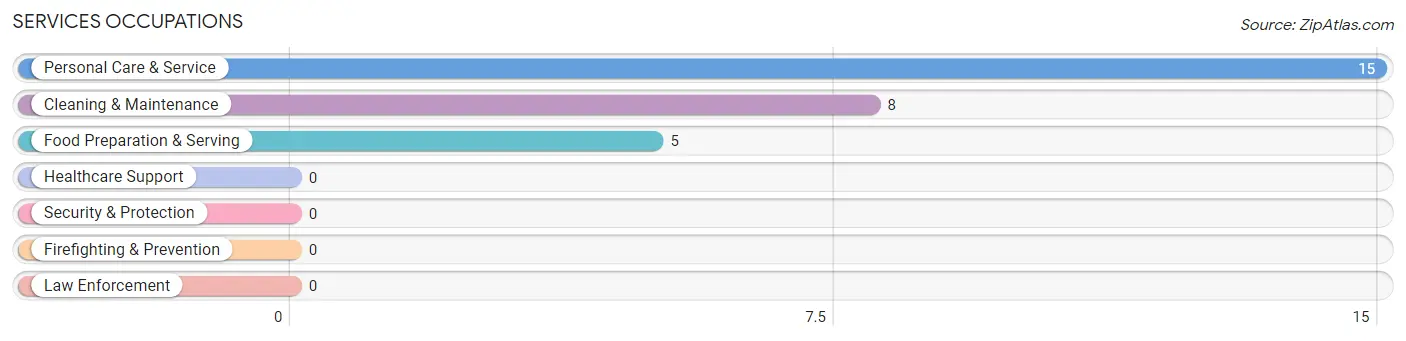 Services Occupations in Filer City