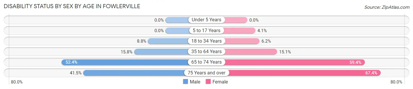 Disability Status by Sex by Age in Fowlerville