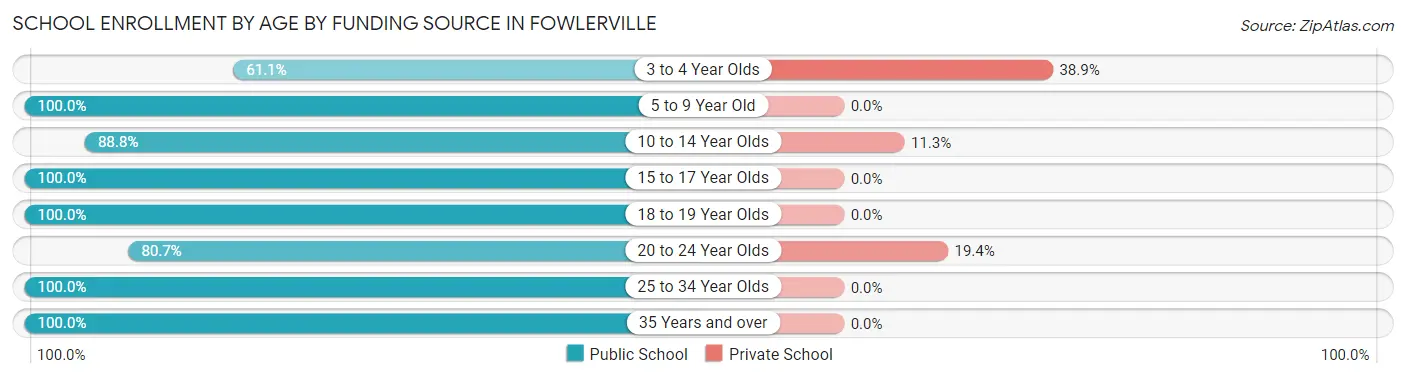 School Enrollment by Age by Funding Source in Fowlerville