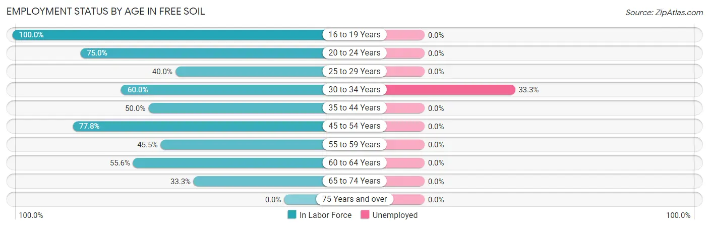 Employment Status by Age in Free Soil