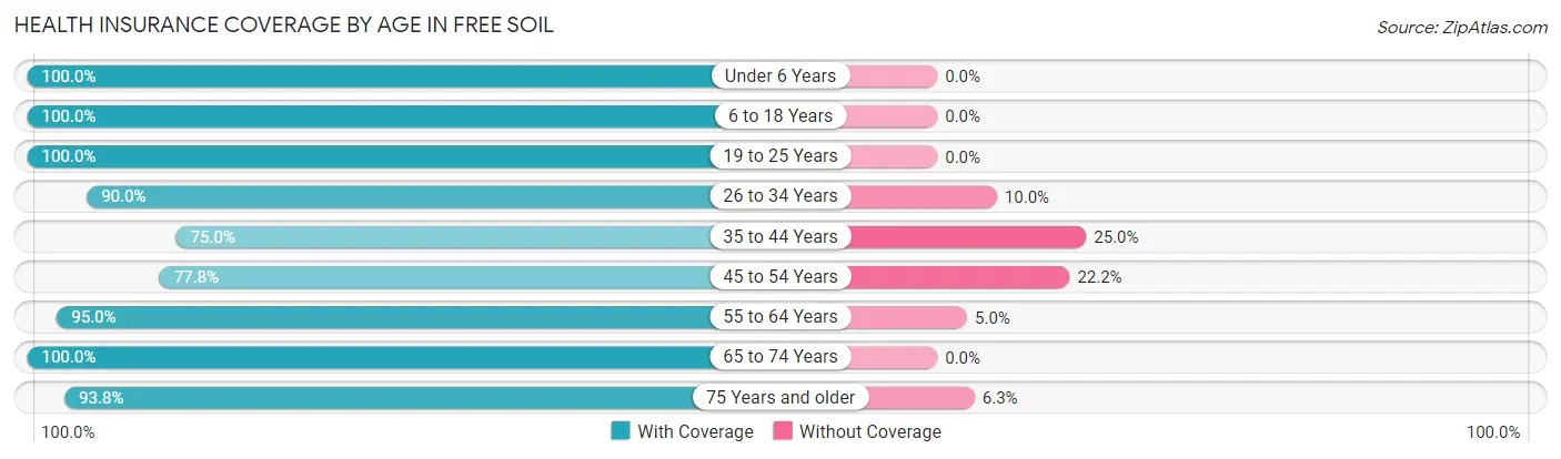 Health Insurance Coverage by Age in Free Soil