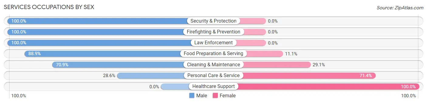 Services Occupations by Sex in Freeland