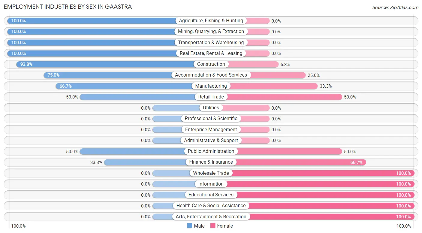 Employment Industries by Sex in Gaastra