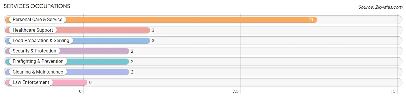 Services Occupations in Gaastra