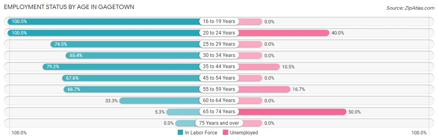 Employment Status by Age in Gagetown