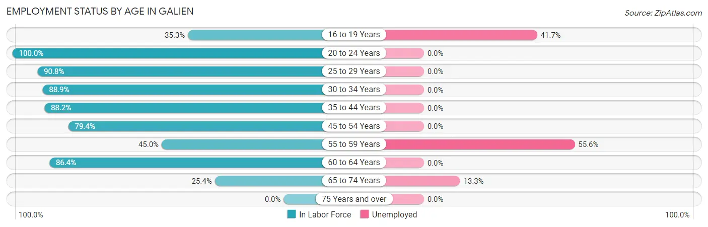Employment Status by Age in Galien