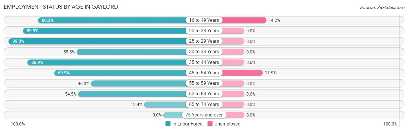 Employment Status by Age in Gaylord