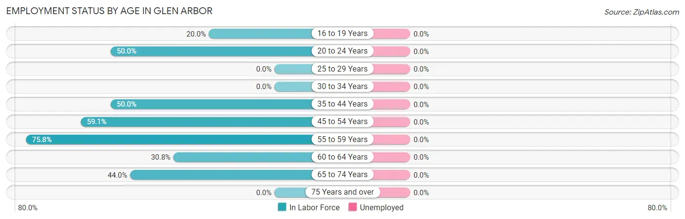 Employment Status by Age in Glen Arbor
