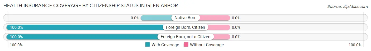 Health Insurance Coverage by Citizenship Status in Glen Arbor